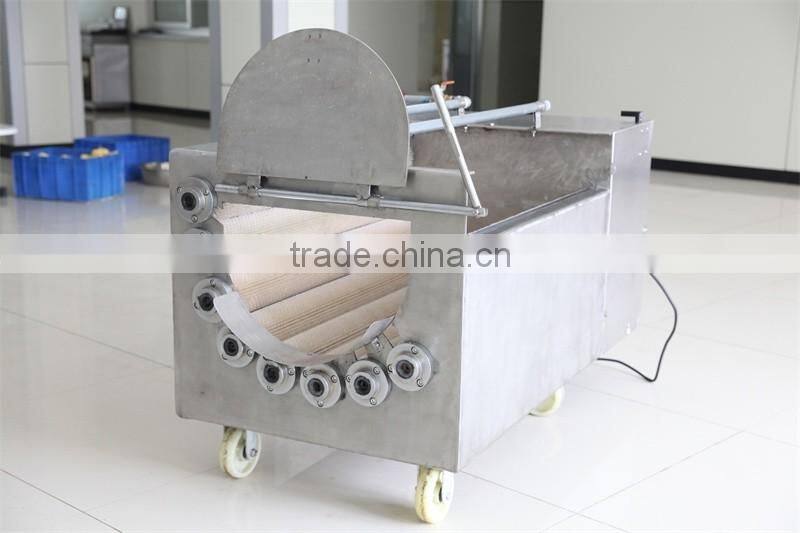 XCJ Series Commercial Used Industrial Fruit Vegetable Washer With High Quality
