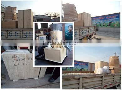 CE approved China advanced small fuel pellet mill_fuel pellet machine_pellet mill with fuel engine