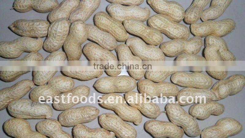 2013 raw crop peanut inshell with good quality
