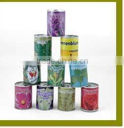 Specialized boxes for gifts DIY mini bonsai promotional gifts for teenagers , corporate anniversary gifts