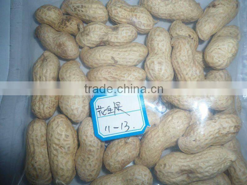 Washed groundnut in shells HPS