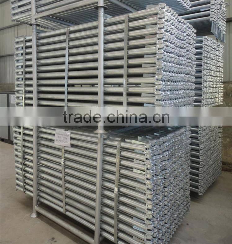 Ringlock scaffolding system