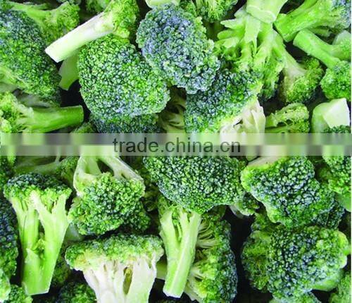 Frozen Broccoli Exporter