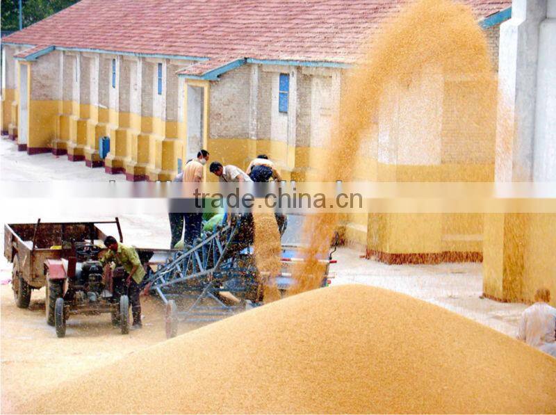 paddy winnowing machine /winnower