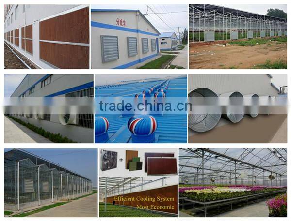 China Roof Fan,Ventilation fans