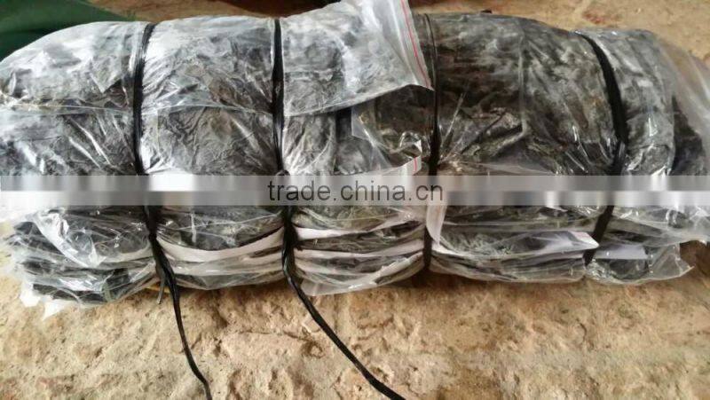 All types of seafood dried seaweeds,hot sale kelp,dried laminaria,seaweed price raw kelp,dried kale