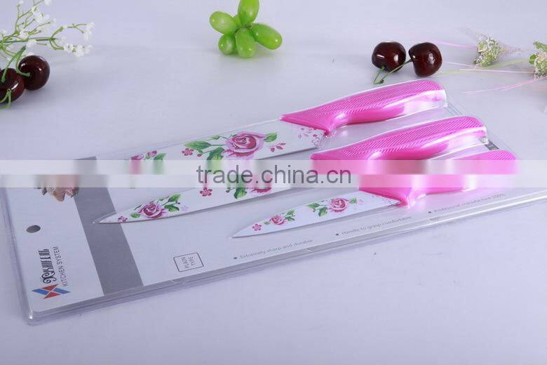 2016 Korea style 4 pcs stainless steel knife set with a plane