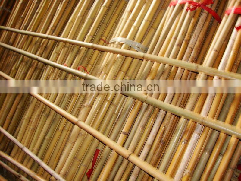 Factory direct green dry straight raw bamboo poles
