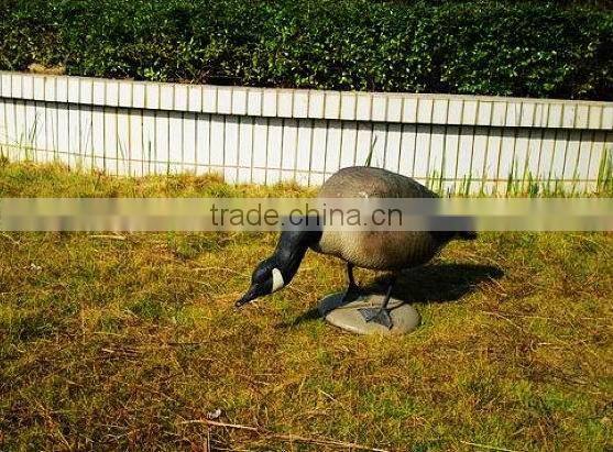 colourful goosey,resting watching Decoy goose for hunting,Decoy goose for hunting