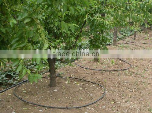 Fruit tree irrigation system