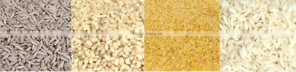 Jinan Eagle enriched wheat aritifical rice extruder machine