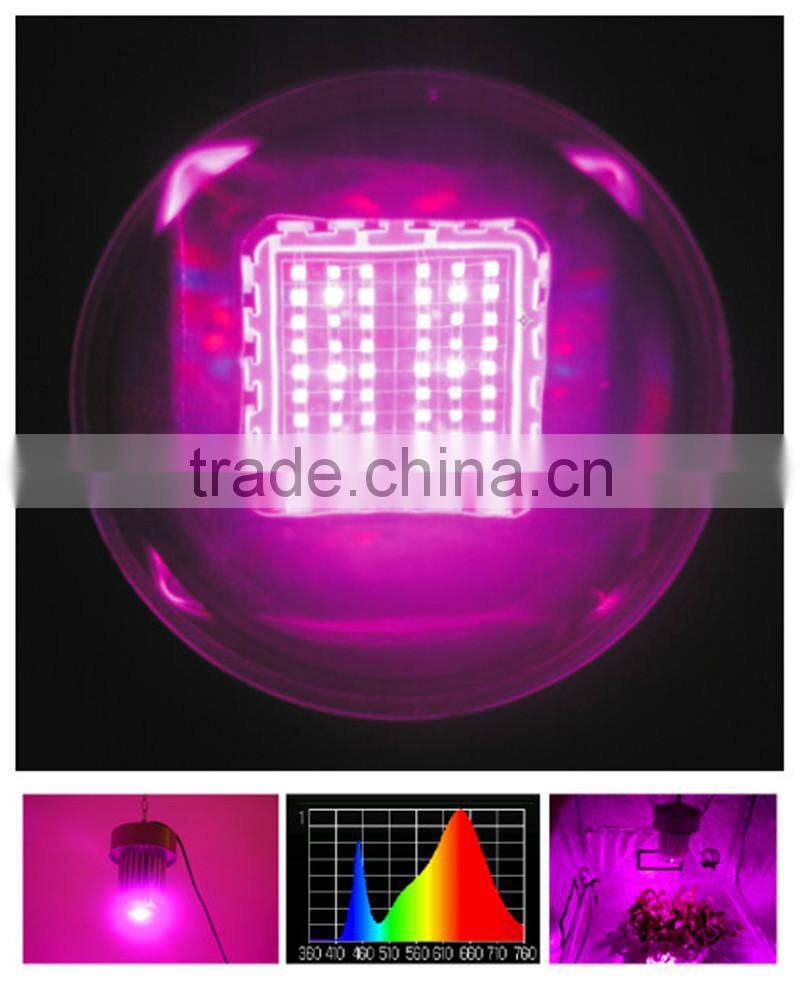 Shenzhen 2016 100w/200w IP65 hydrop grow led greenhouse lights
