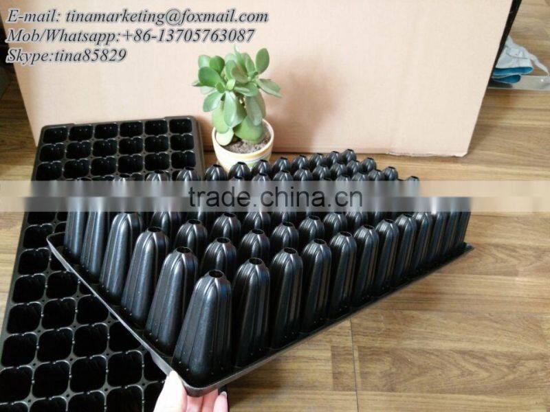 Growing Vegetable Transplants in Plug Seed Nursery Trays 8 Cell