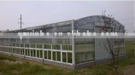 vegetable poly tunnel greenhouse