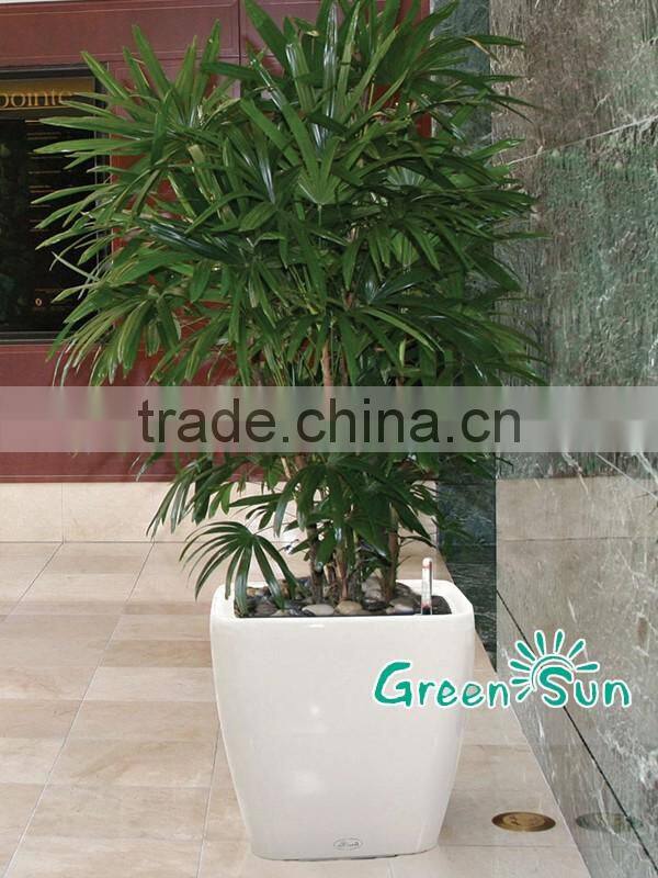 Wholesale middle square fashion gardening flower pots for sale