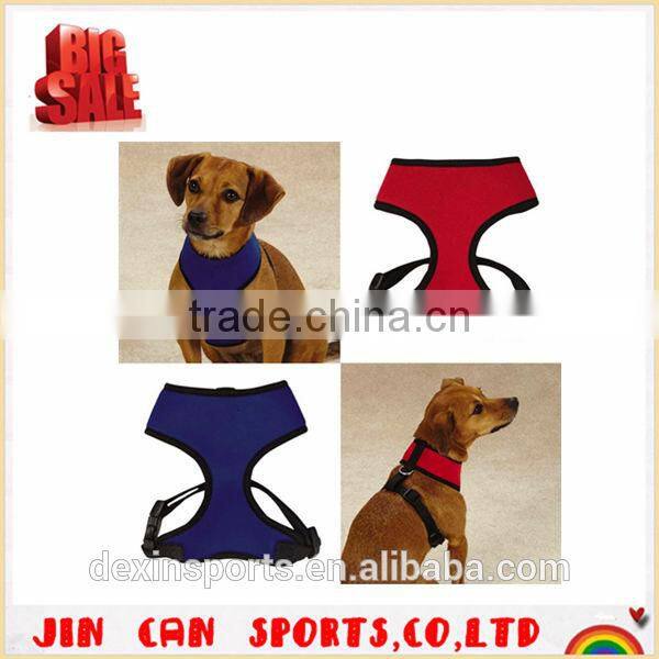 China guangdong new product bulk pet supplies