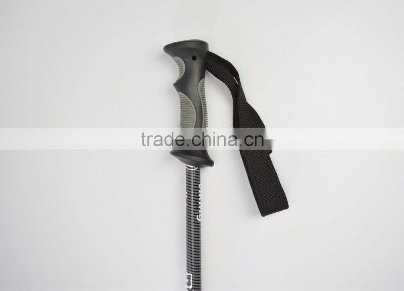 2 hours replied alpine ski pole