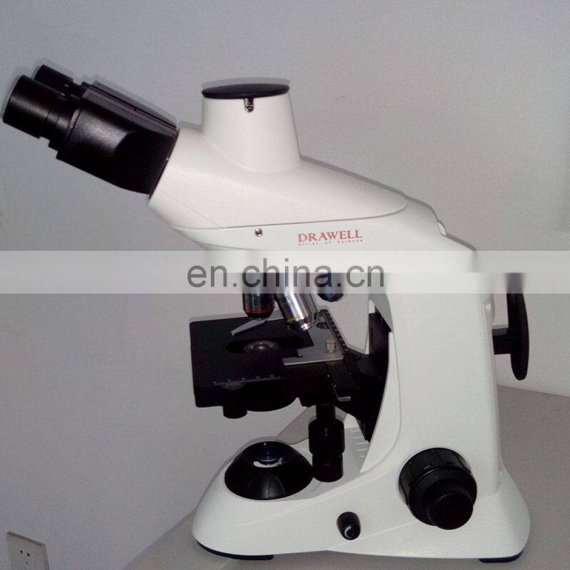 Stereo Zoom Motic Microscope