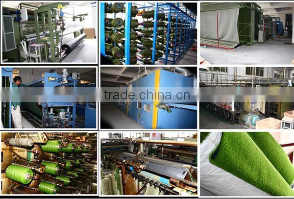 natural olive grass factory directly with good price
