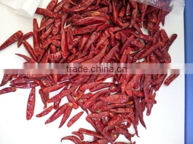 Dry red chili with high quality