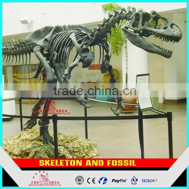 Artificial dinosaur Skeleton Fossil for Museum