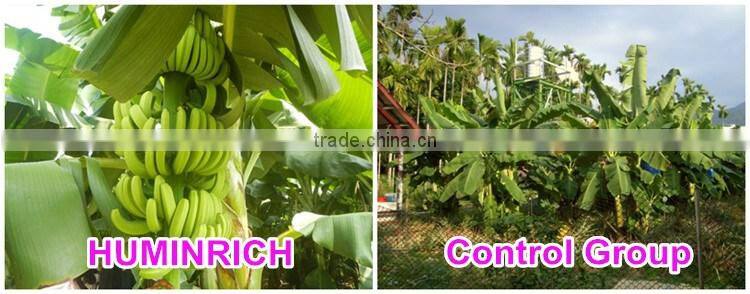 Huminrich Shenyang SH9002s-1 100PCT 55HA+65OM Soluble Super Grade Humic Acid