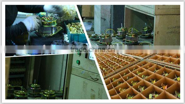 washing machine drain pump motor