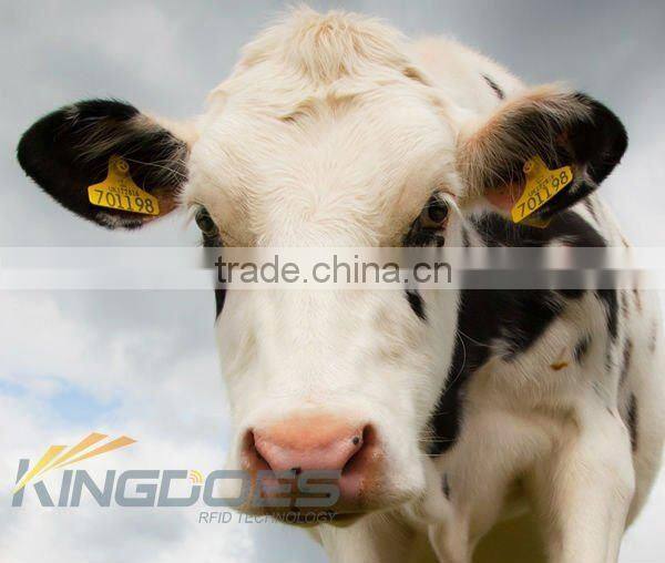 ISO11784/11785 RFID Ear tag for Livestock Management