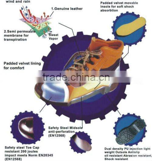 Sport Style Safety Shoes R095