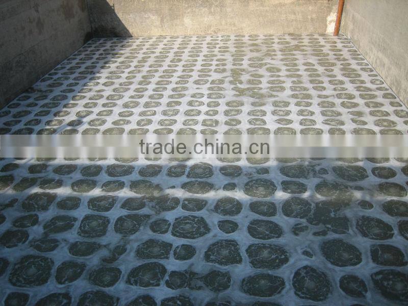fish tanks aquaculture/recirculating aquaculture system/pond aquaculture