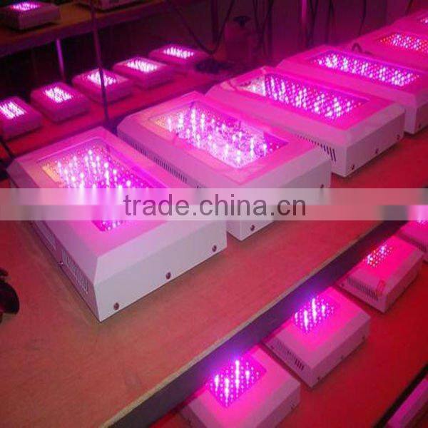 wholesale led grow light 600w
