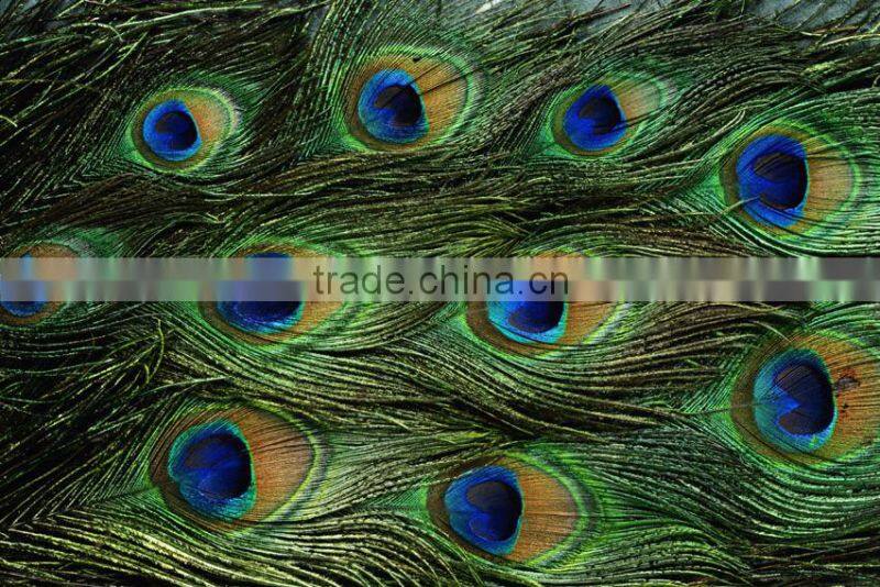 Wholesale Antislip bathroom door mat