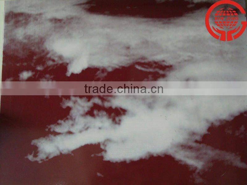 China perforted acoustic ceiling panel