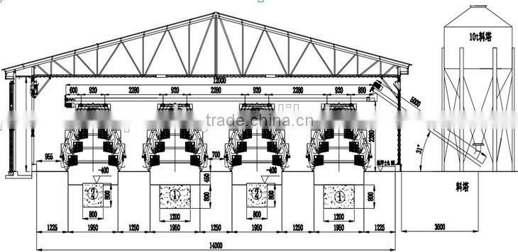 cfb 07 cheap price A type bird cage for chicken layer egg hen farming equipment