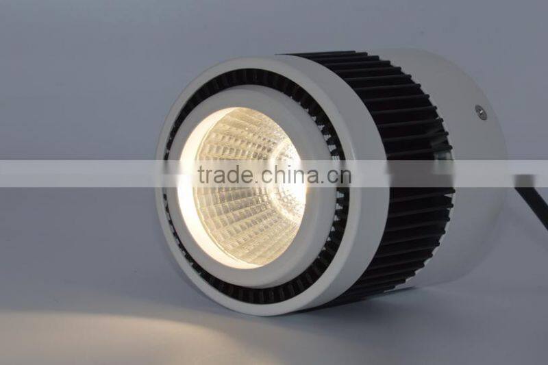 Surface Mounted 20W Hot Sale Cob Led Downlight TEC002CD20WSM2