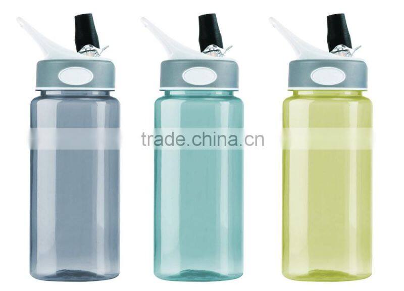 Fashion PC Bottle With Straw Best Selling 600ML