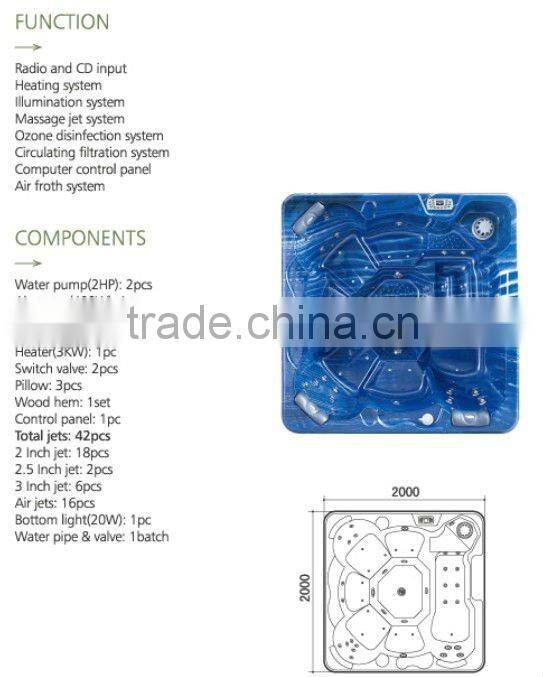 10.6M Monalisa Outdoor Swimming Pool Whirlpool Outdoor Spa Hot tub Massage Bathtub (M-3326)