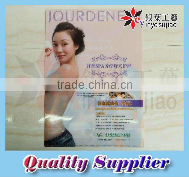 Office Stationery Printed Plastic PP File Folder