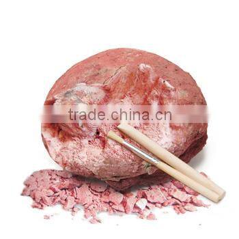 Dino Egg Dig Kits Dinosaur Baby Model