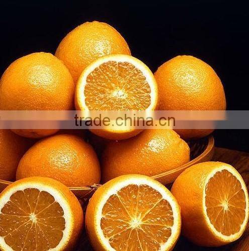 Fresh Gannan Navel Orange, best quality China Navel Orange