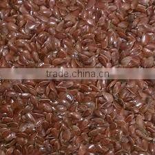 Oil Seed Linseed