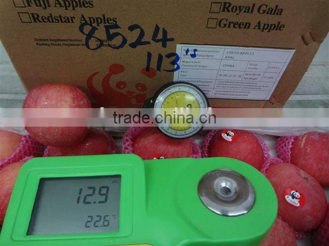 2014 China Hot sale Fresh Fuji Apple
