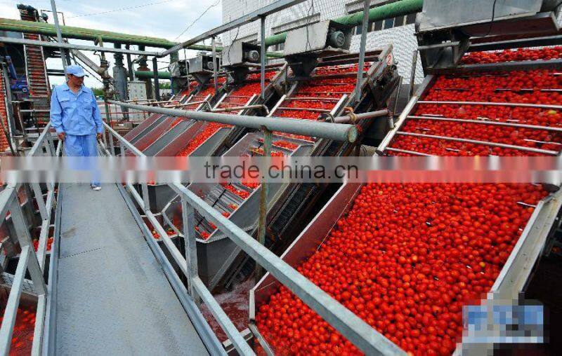 70g Wholesale Bags Tomato Sauce