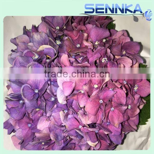 Wholesale China Merchandise artificial hydrangea fresh cut flower ball for decoration