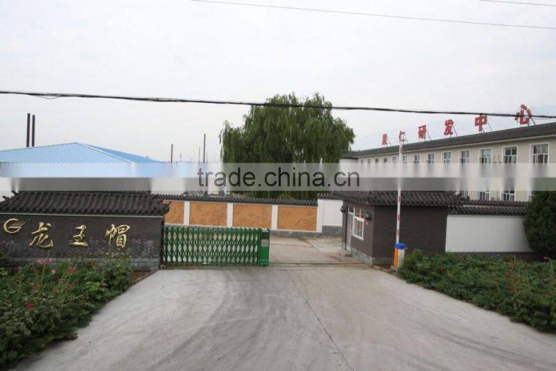 100% pure Apricot kernel powder for skin care