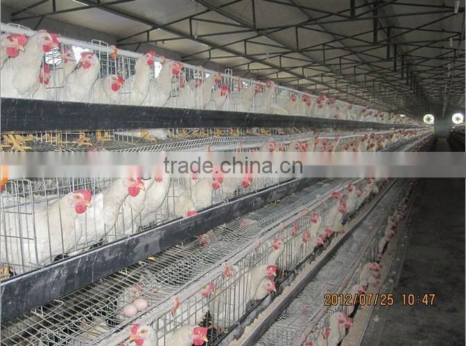 poultry cages for chick