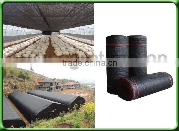 umbrella tree growing greenhouse for sale in China