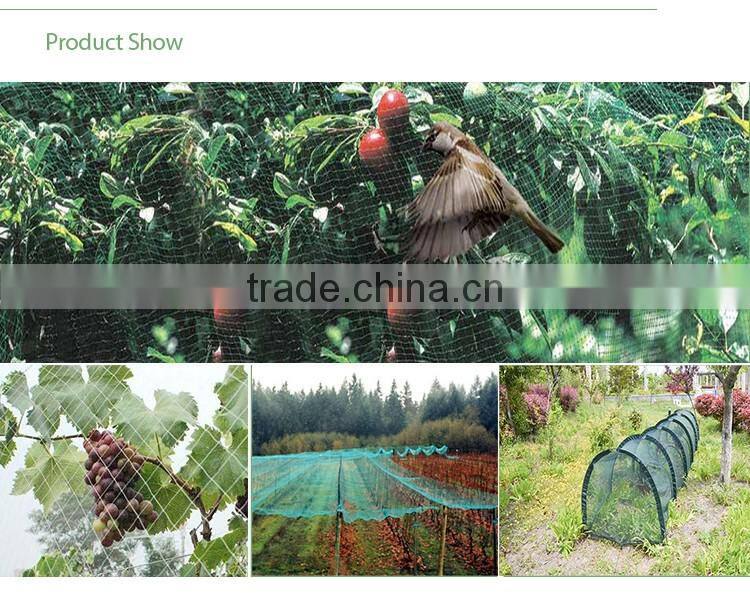 Trap Bird Nets For Catching Birds