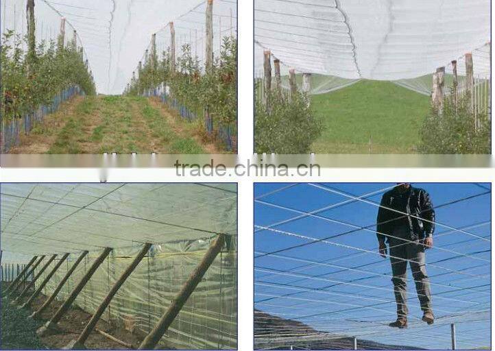 HOT! 3.2mm high quality polyester wire for modern agriculture