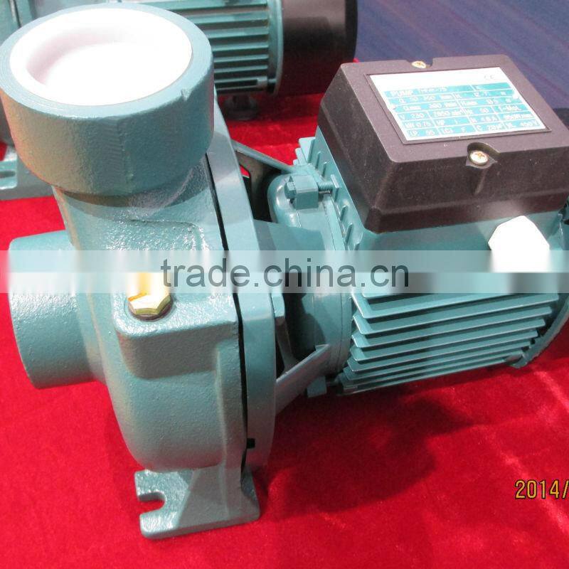 Cast iron centrifugal single phase electric water IP44 pump THFm 75